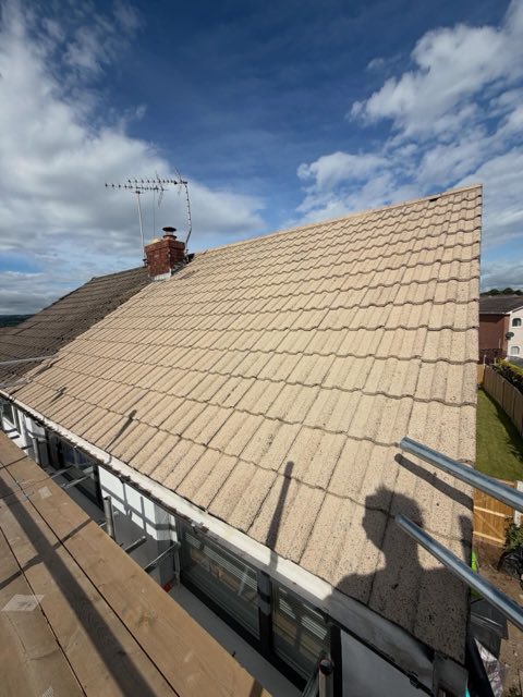 Before: Weathered concrete roof tiles covered in lichen